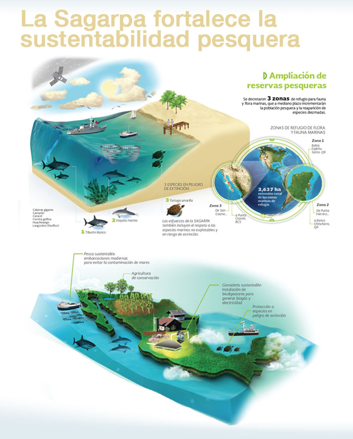 Vista de una infografía